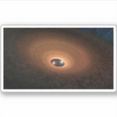 星形成から残ったほこりっぽい材料の円盤 シール (正面)