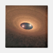 星形成から残ったほこりっぽい材料の円盤 マグネット (正面)