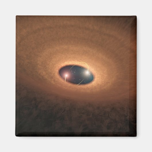 星形成から残ったほこりっぽい材料の円盤 マグネット (正面)