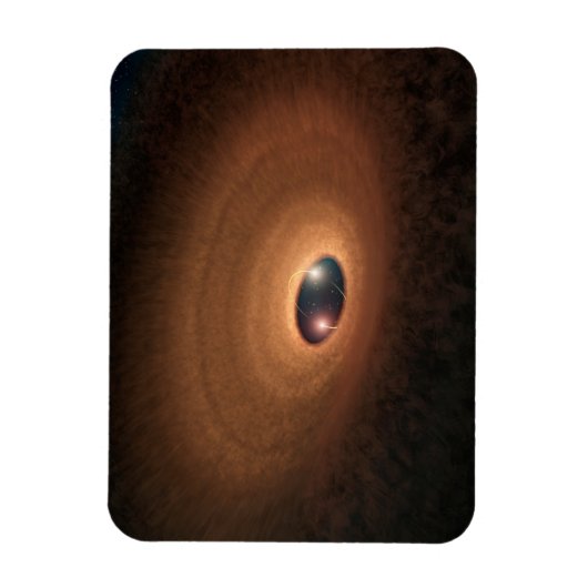 星形成から残ったほこりっぽい材料の円盤 マグネット (縦)