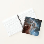 星形成領域Ngc 2174、モンキーヘッド星雲。 ノートブック (内部)
