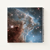 星形成領域Ngc 2174、モンキーヘッド星雲。 ノートブック (裏面)