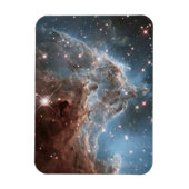 星形成領域Ngc 2174、モンキーヘッド星雲。 マグネット (縦)