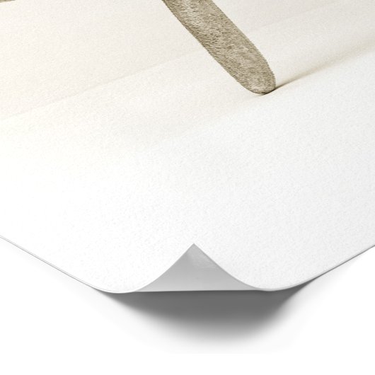 星形魚の殻 ポスター (角)