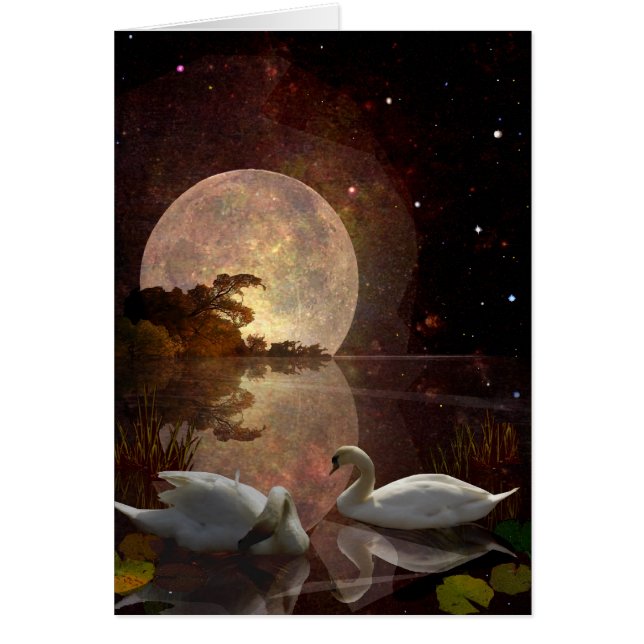 星明かりの川 (正面)