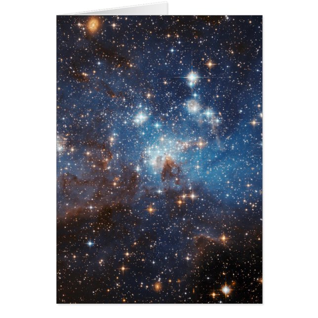 星明かりの空 (正面)