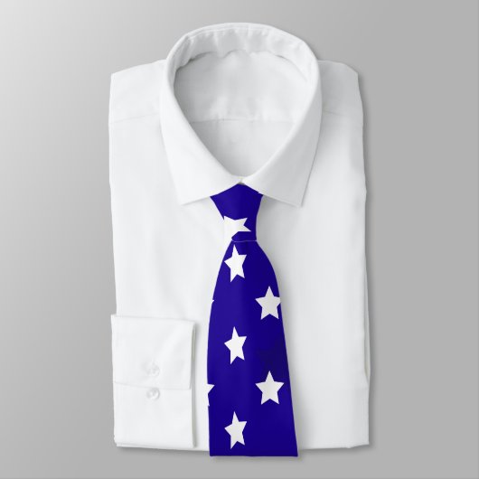 星条旗のタイ ネクタイ (タイ)