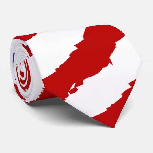 星条旗のネクタイ ネクタイ (ロール)