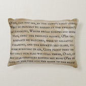 星条旗 アクセントクッション (裏面)