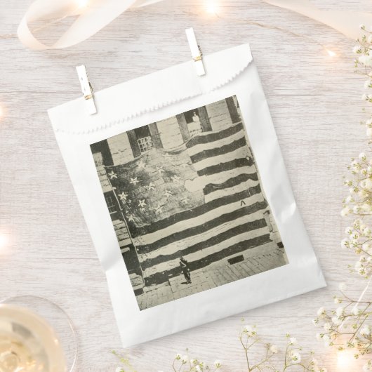 星条旗:表示のアメリカ国旗 フェイバーバッグ (クリップ留めされた状態)