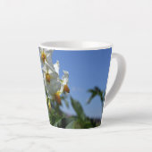 星状花ソラヌム結節 カフェラテマグ (右アングル)