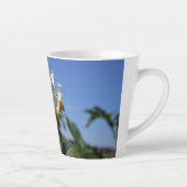 星状花ソラヌム結節 カフェラテマグ (右)