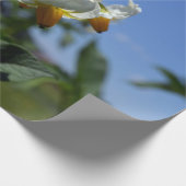 星状花ソラヌム結節 ラッピングペーパー (角)