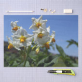 星状花ソラヌム結節 薄葉紙 (クラフト)