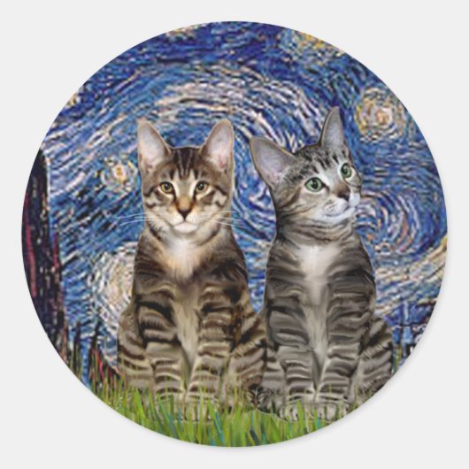 星空のトラ猫二匹 ラウンドシール (正面)