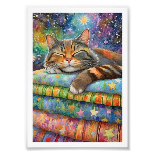 星空のトルトカメ猫 フォトプリント (正面)