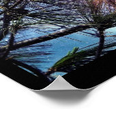 星空の下のクリスマスパイン ポスター (角)