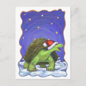 星空の夜の亀のクリスマス シーズンポストカード (正面)