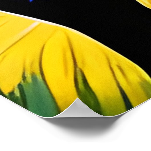 星空の夜の牛 ポスター (角)