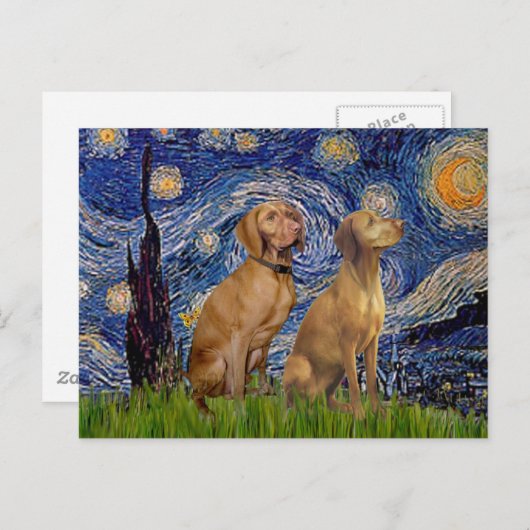 星空の夜 – 2つのビズラス ポストカード (正面/裏面)