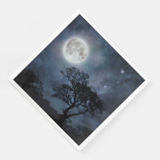 星空の満月 (コーナー)