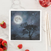 星空の満月 (インサイチュ)