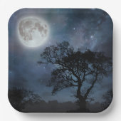 星空の満月 ペーパープレート (正面)