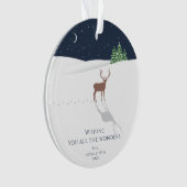 星空の疑問に思夜の写真 オーナメント (正面)