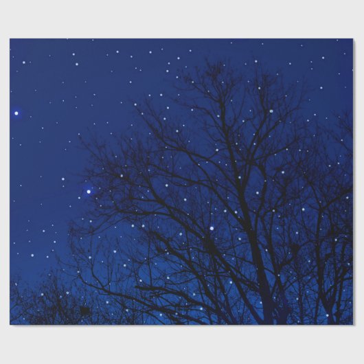 星空の背景に木々が映し出されます。近くの木 ラッピングペーパー (フラット)