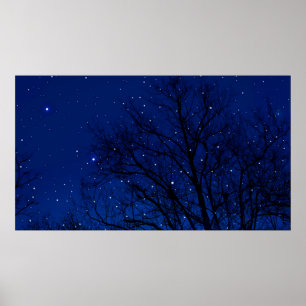 星空の背景に木々。木々は近く ポスター