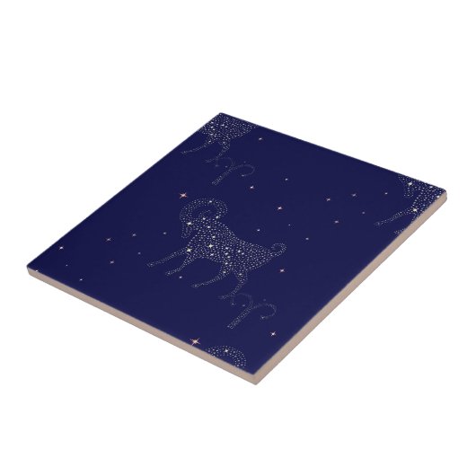 星空 タイル (側面)