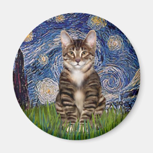 星空 - トラ猫 30 マグネット (正面)