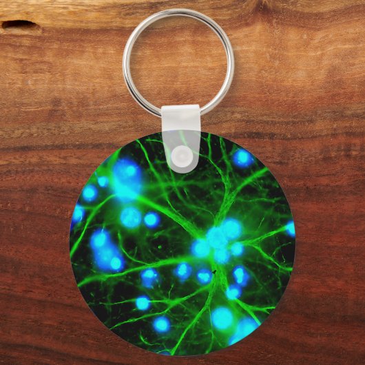 星細胞は脳の星型グリア細胞である キーホルダー (正面)