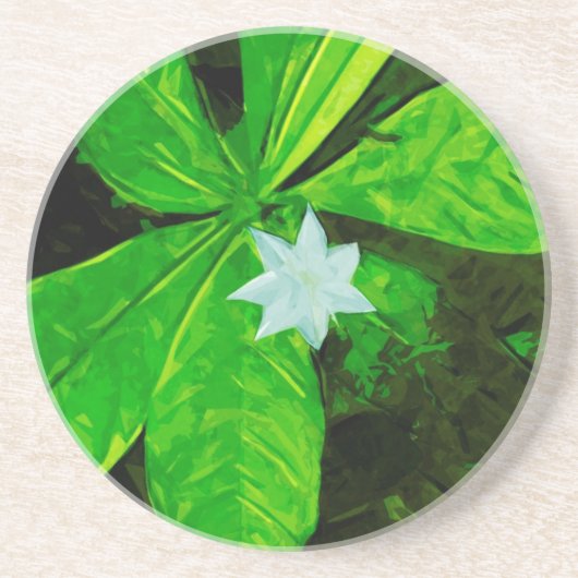 星花と白い野草の抽象芸術 コースター (正面)