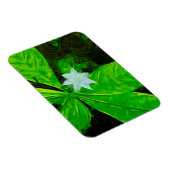 星花と白い野草の抽象芸術 マグネット (右側)