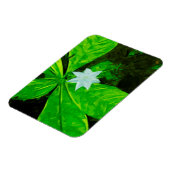 星花と白い野草の抽象芸術 マグネット (左側)