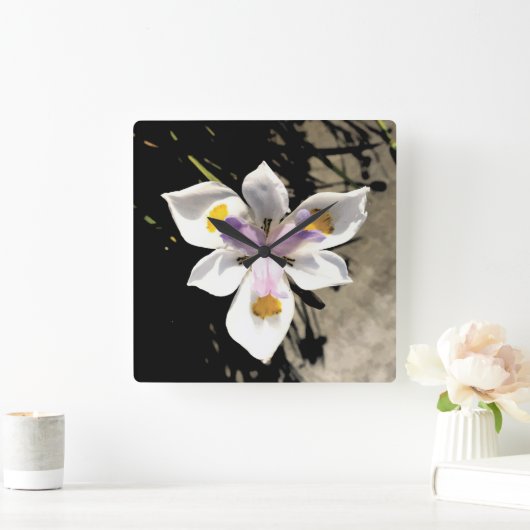 星花 スクエア壁時計 (ホーム)