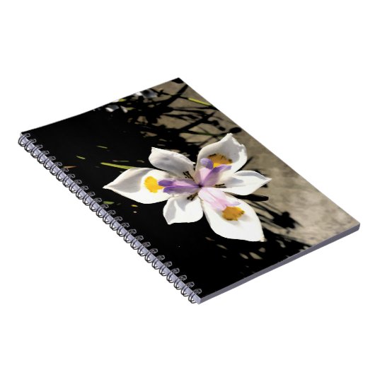 星花 ノートブック (右側)