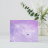 星落ちた ポストカード (スタンド正面)