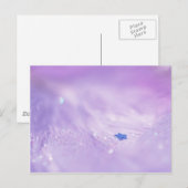 星落ちた ポストカード (正面/裏面)