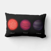 星間旅行者に見られる茶色のドワーフ。 ランバークッション (裏面)