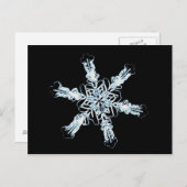 星雪結晶 ポストカード (正面/裏面)
