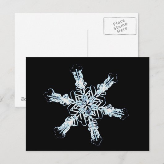 星雪結晶 ポストカード (正面/裏面)
