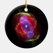 星雲の宇宙探査nasaの天文学 セラミックオーナメント (裏面)