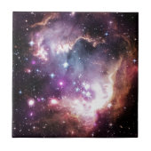 星雲 タイル (正面)