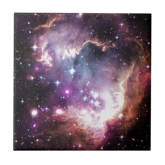 星雲 タイル (正面)