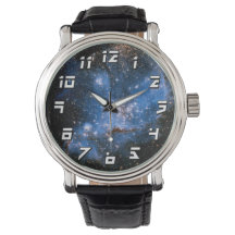 星雲NGC346の幼い星たち - ハッブル宇宙写真