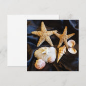 星魚の貝類海洋生物ビーチ静止画 (正面/裏面)