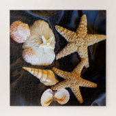 星魚の貝類海洋生物ビーチ静止画 ジグソーパズル (横)