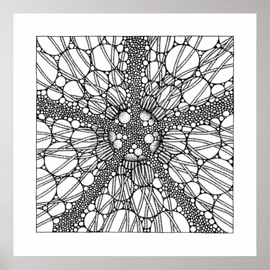 星 ポスター (正面)